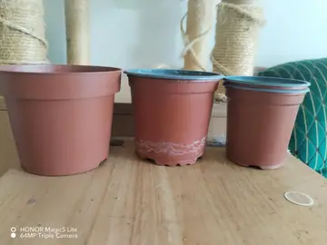 Pot de fleur + pot semi