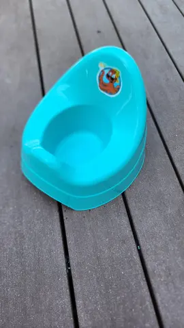 Pot de toilettes pour bébé