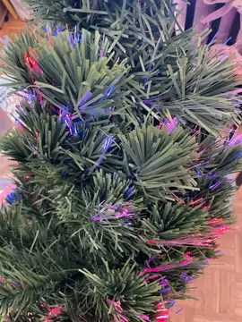 sapin