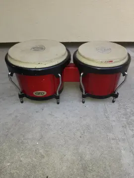 Bongo tambour