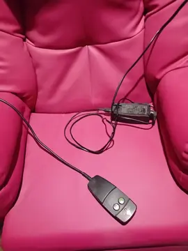 fauteuil électrique