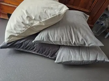 donne 4 coussins