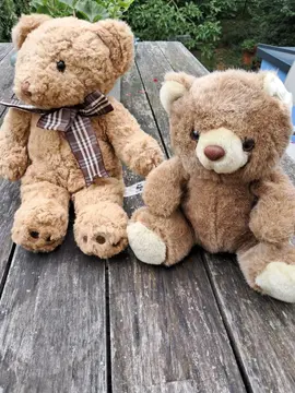 peluches