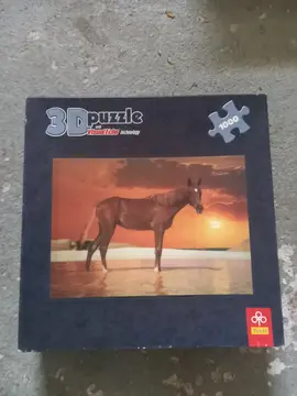Puzzle 3d