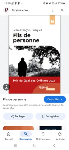 Roman policier français