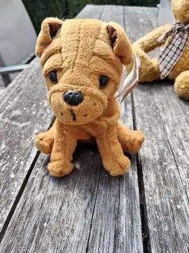 peluche chien