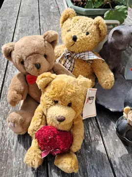 ours en peluche