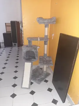 arbre à chat