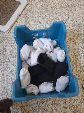 chaussettes