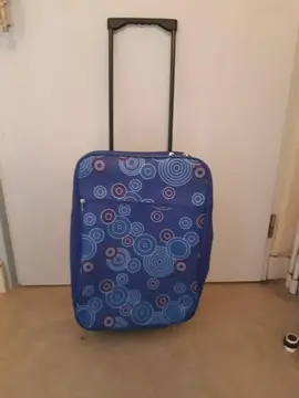 Bagage à main à roulettes