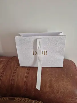 sac dior