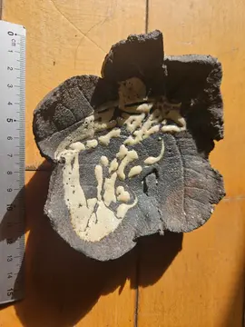Coupelle en céramique artisanale