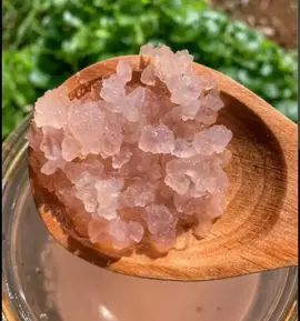 Kéfir de fruits