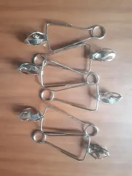 Pinces à escargots
