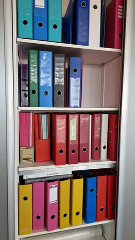 lot classeurs et pochettes transparentes