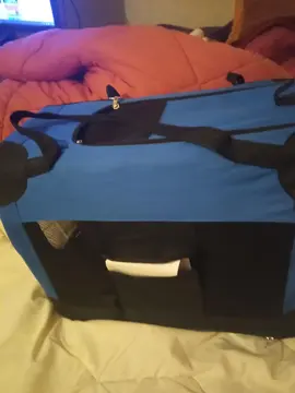 cage de transport chat