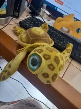 peluche tortue vert
