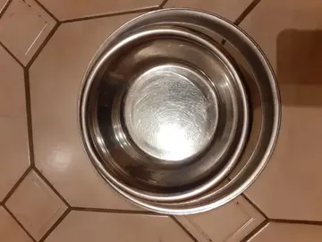 Grande gamelle inox pour chien