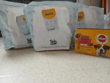 croquettes chihuahua