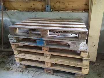 7 palettes