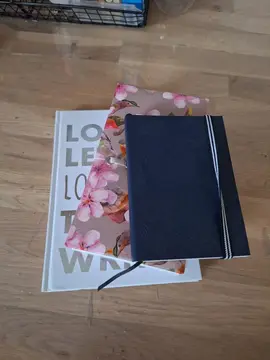 Lot de 3 carnets