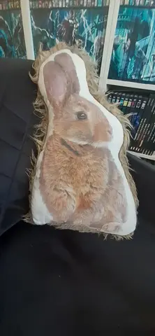Joli coussin Lapin
