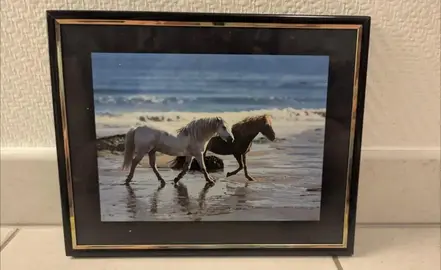 Tableau photo chevaux