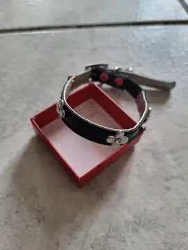 collier pour petit chat