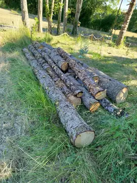 bois de chauffage