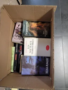 Lot de livres Roman et poche 30 ou 40 livres