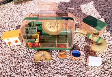 Cage à hamster et accessoires