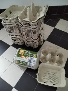 boites oeufs