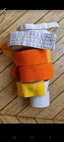 Lot ceintures judo