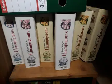 encyclopedie sur les champignons