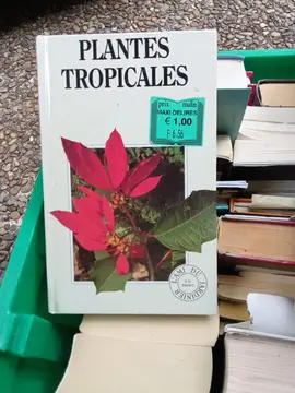 donne bcp de livres romans histoire cuisine etc...