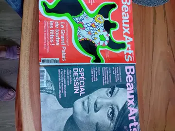 Magazine beaux-arts