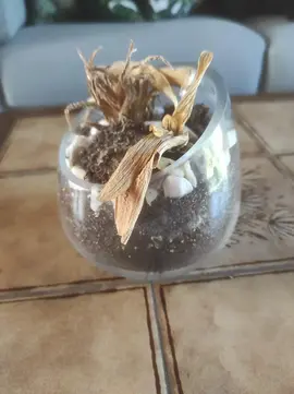 Un pot avec petits cailloux et grains décoratifs