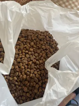 1k5 croquettes sans céréales Kyra Premium