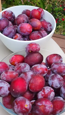 Donne prunes
