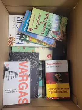 Lot de livres roman et poche