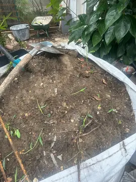 terre végétale en big bag
