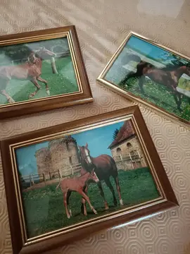 cadres chevaux