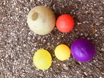 balles pour animaux de compagnie