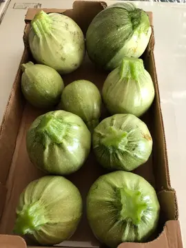 courgettes de nice