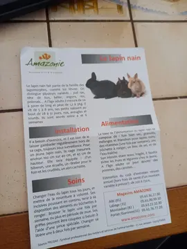 affiche info sur les lapin