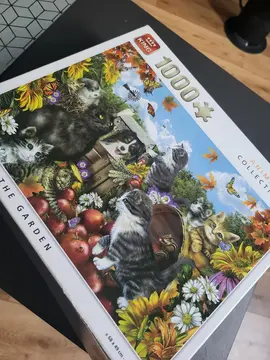 puzzle 1000 pièces