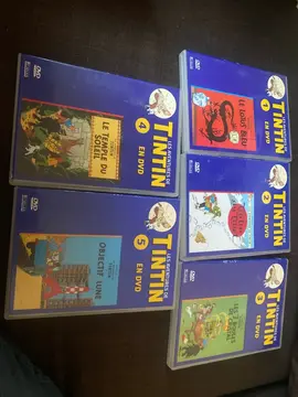 lot dvd tintin