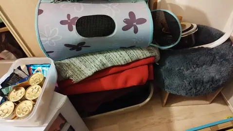 matériel pour association pour chat