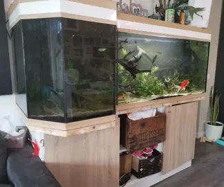Aquarium 600L