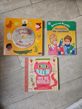 lot livres enfants